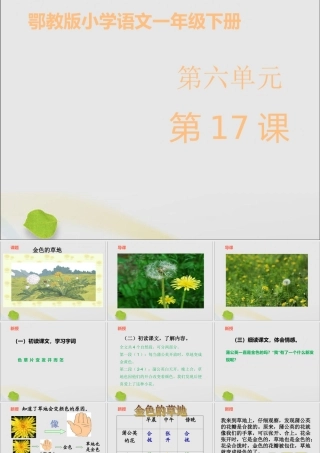 一年级语文下册 第六单元 17《金色的草地》课件 鄂教版-鄂教版小学一年级下册语文课件