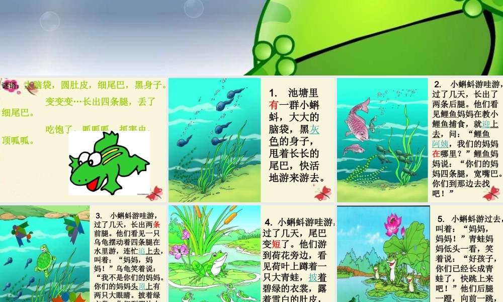 一年级语文下册 第4单元 17《小蝌蚪找妈妈》课件4 语文S版-语文S版小学一年级下册语文课件