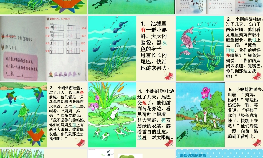 一年级语文下册 第4单元 17《小蝌蚪找妈妈》课件5 语文S版-语文S版小学一年级下册语文课件