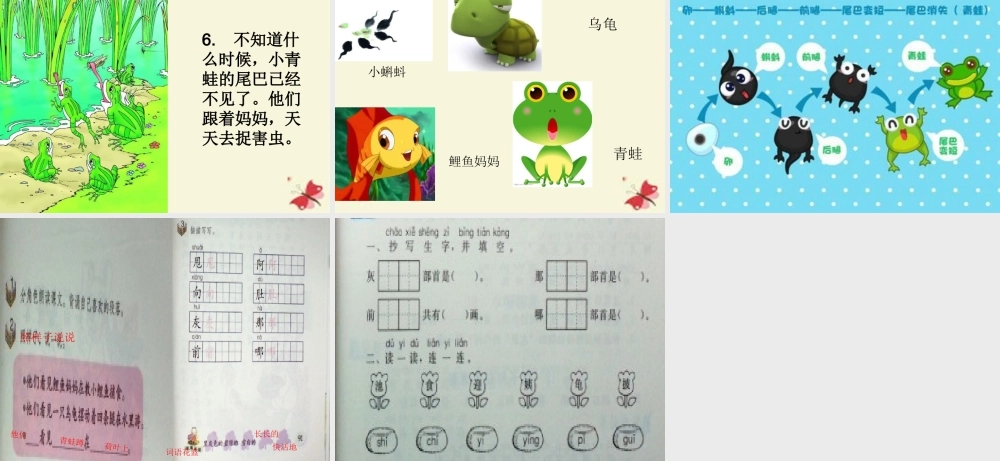一年级语文下册 第4单元 17《小蝌蚪找妈妈》课件5 语文S版-语文S版小学一年级下册语文课件