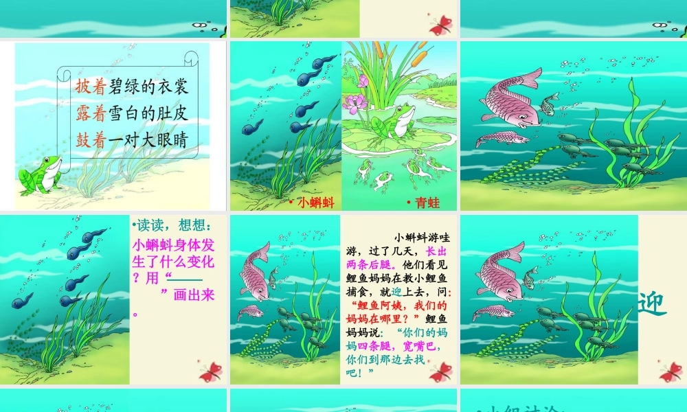 一年级语文下册 第4单元 17《小蝌蚪找妈妈》课件6 语文S版-语文S版小学一年级下册语文课件