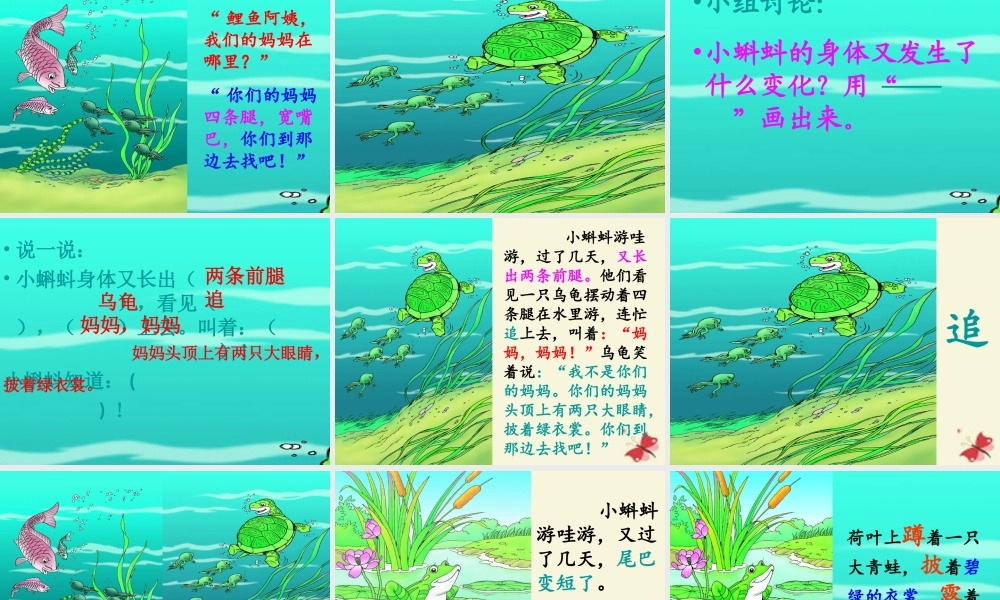 一年级语文下册 第4单元 17《小蝌蚪找妈妈》课件6 语文S版-语文S版小学一年级下册语文课件