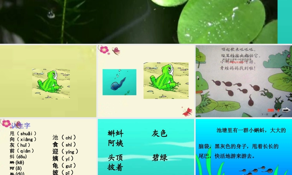 一年级语文下册 第4单元 17《小蝌蚪找妈妈》课件7 语文S版-语文S版小学一年级下册语文课件