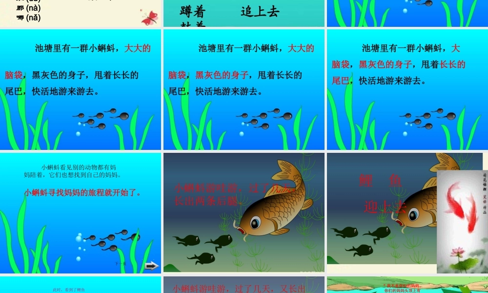 一年级语文下册 第4单元 17《小蝌蚪找妈妈》课件7 语文S版-语文S版小学一年级下册语文课件