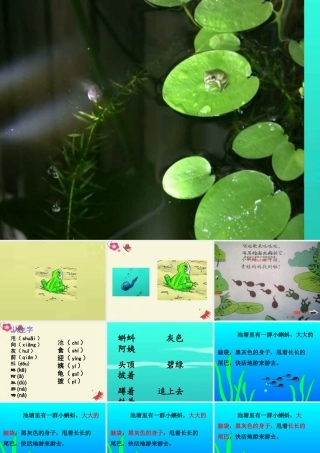 一年级语文下册 第4单元 17《小蝌蚪找妈妈》课件7 语文S版-语文S版小学一年级下册语文课件