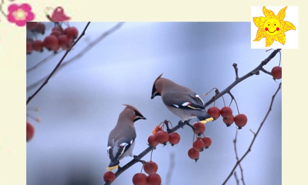 一年级语文下册 第1单元 1《山青青》课件3 语文S版-语文S版小学一年级下册语文课件