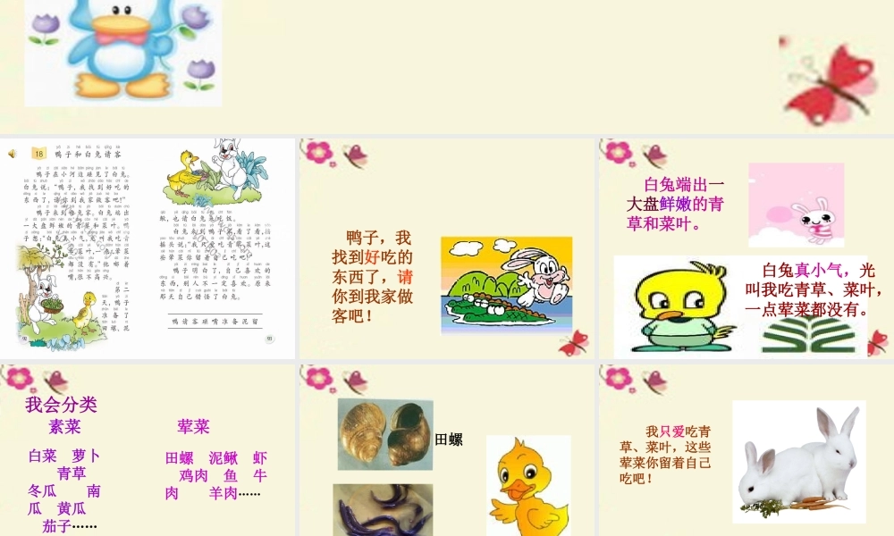 一年级语文下册 第4单元 18《鸭子和白兔请客》课件1 语文S版-语文S版小学一年级下册语文课件