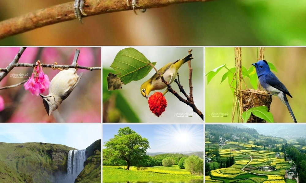 一年级语文下册 第1单元 1《山青青》课件4 语文S版-语文S版小学一年级下册语文课件