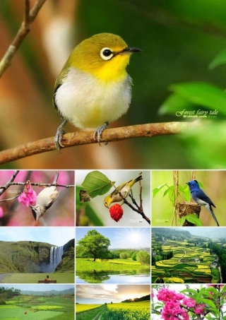 一年级语文下册 第1单元 1《山青青》课件4 语文S版-语文S版小学一年级下册语文课件