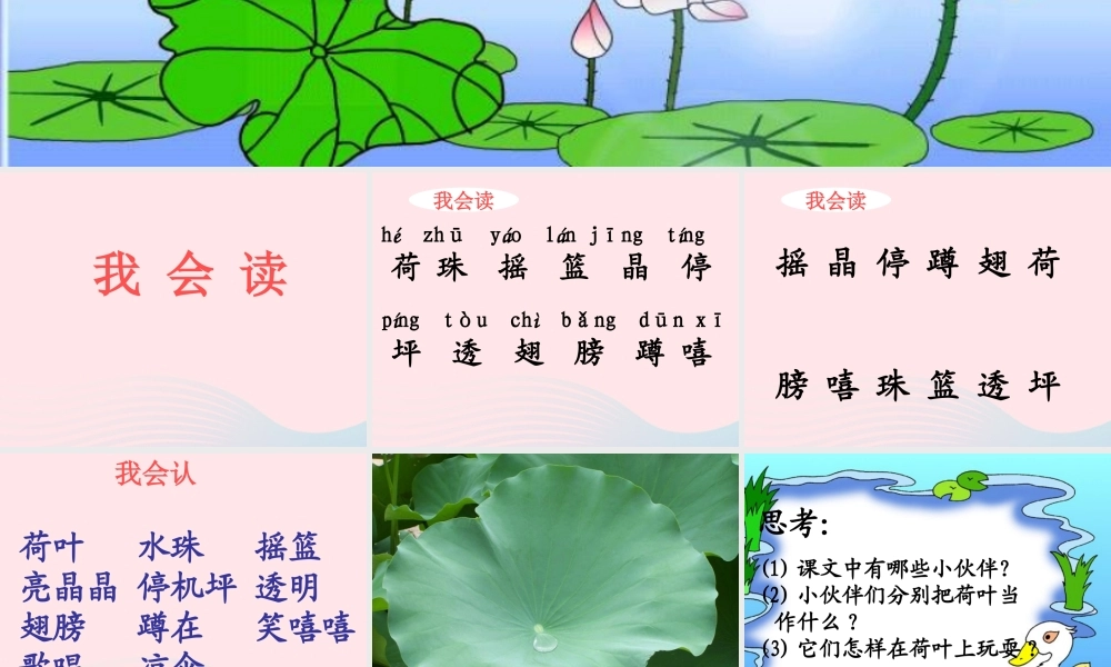 一年级语文下册 第六单元 第27课《荷叶圆圆》课件1 北京版-北京版小学一年级下册语文课件