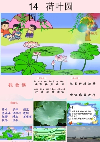一年级语文下册 第六单元 第27课《荷叶圆圆》课件1 北京版-北京版小学一年级下册语文课件