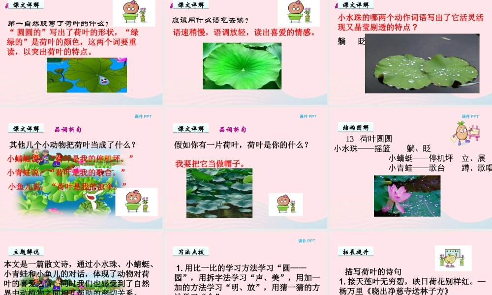 一年级语文下册 第六单元 第27课《荷叶圆圆》课件2 北京版-北京版小学一年级下册语文课件