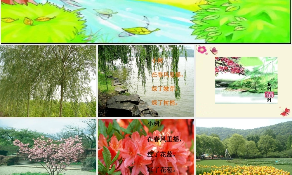 一年级语文下册 第1单元 2《小树谣》课件2 语文S版-语文S版小学一年级下册语文课件