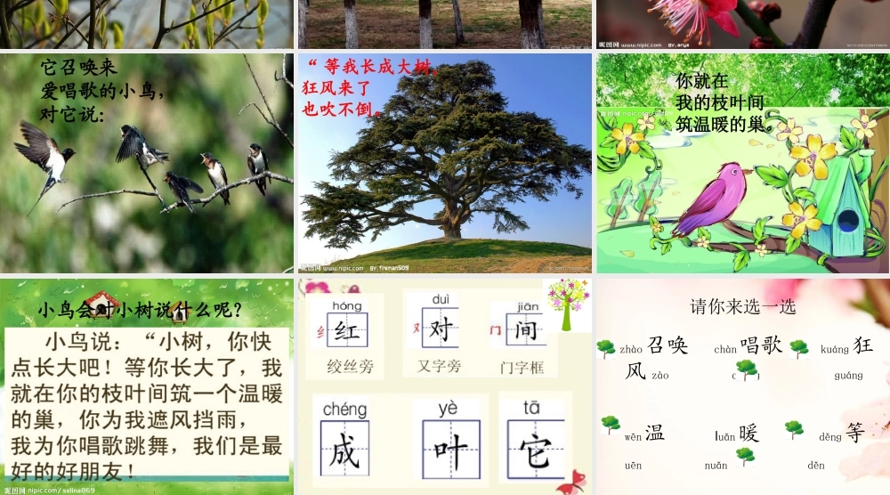 一年级语文下册 第1单元 2《小树谣》课件5 语文S版-语文S版小学一年级下册语文课件