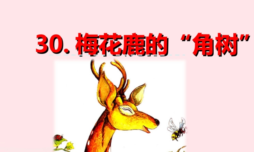 一年级语文下册 第六单元 第30课《梅花鹿的角树》课件 北京版-北京版小学一年级下册语文课件