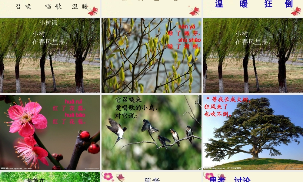 一年级语文下册 第1单元 2《小树谣》课件6 语文S版-语文S版小学一年级下册语文课件