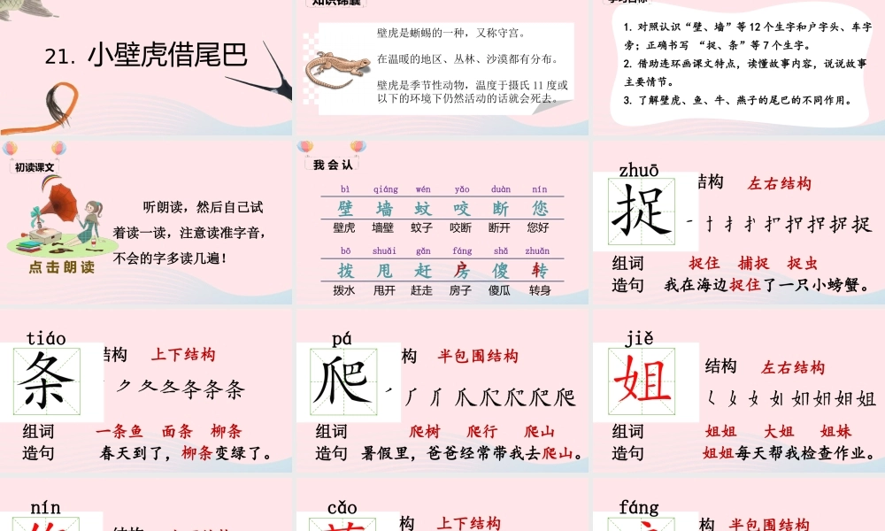 一年级语文下册 课文 6 21《小壁虎借尾巴》课堂教学课件 新人教版-新人教版小学一年级下册语文课件