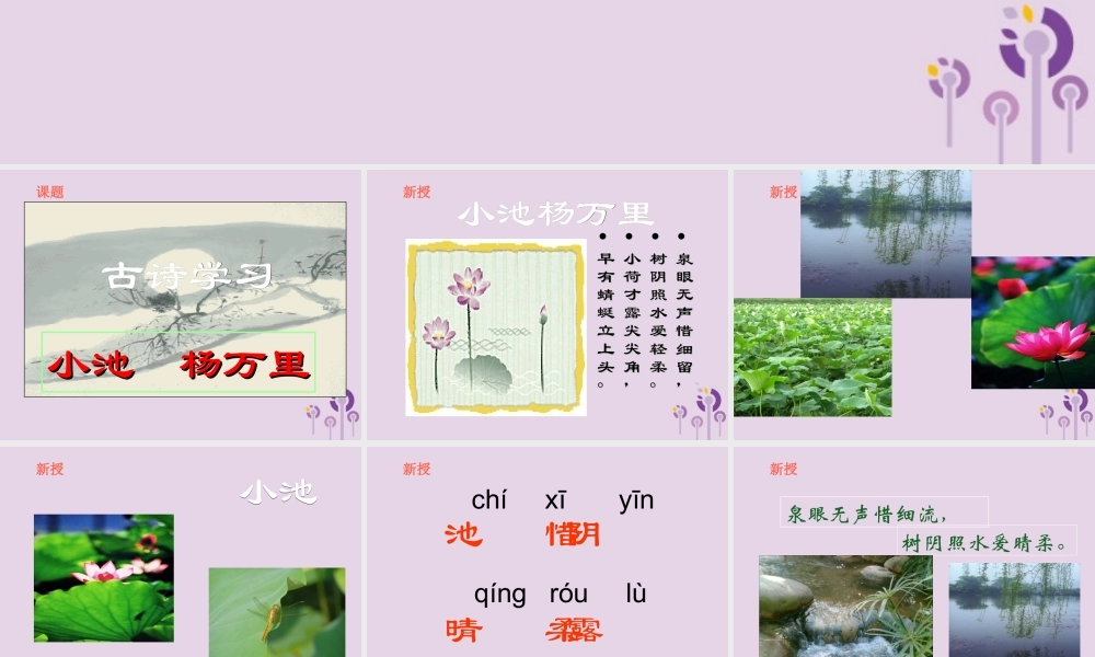 一年级语文下册 第六单元《小池》课件 鄂教版-鄂教版小学一年级下册语文课件