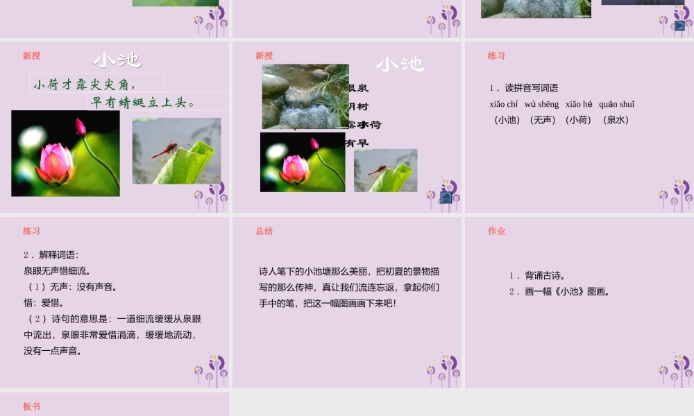 一年级语文下册 第六单元《小池》课件 鄂教版-鄂教版小学一年级下册语文课件