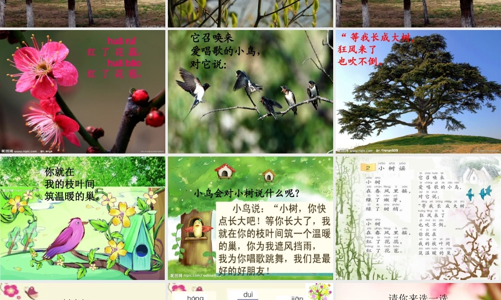 一年级语文下册 第1单元 2《小树谣》课件7 语文S版-语文S版小学一年级下册语文课件