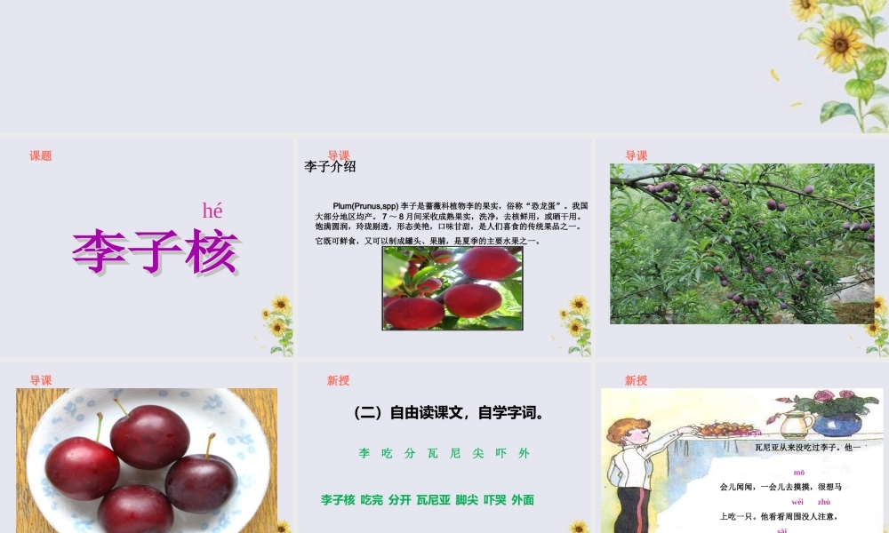 一年级语文下册 第七单元 19《李子核》课件 鄂教版-鄂教版小学一年级下册语文课件