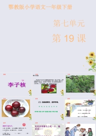 一年级语文下册 第七单元 19《李子核》课件 鄂教版-鄂教版小学一年级下册语文课件