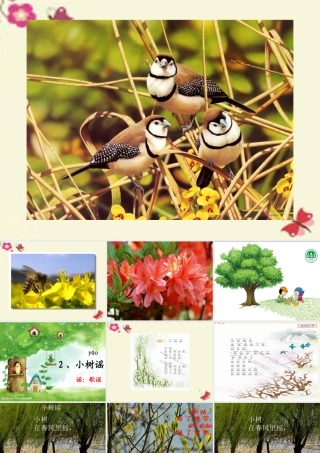 一年级语文下册 第1单元 2《小树谣》课件9 语文S版-语文S版小学一年级下册语文课件