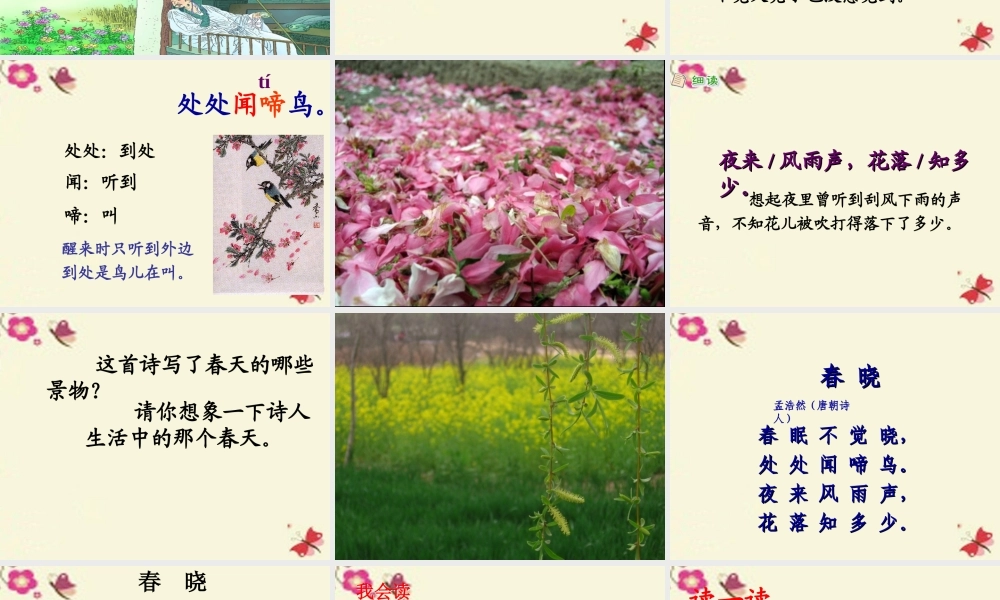 一年级语文下册 第1单元 3《古诗两首》春晓课件1 语文S版-语文S版小学一年级下册语文课件