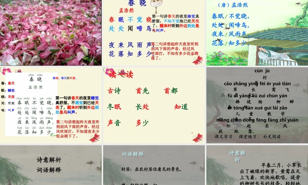 一年级语文下册 第1单元 3《古诗两首》春晓课件3 语文S版-语文S版小学一年级下册语文课件