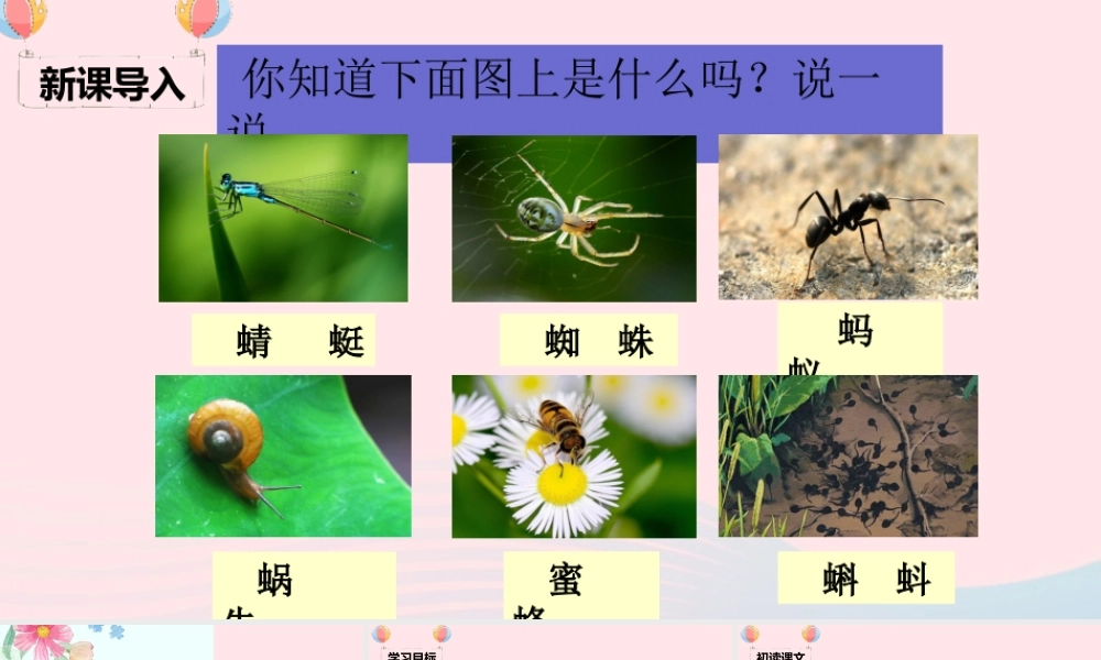 一年级语文下册 识字（二）5 动物儿歌课堂教学课件 新人教版-新人教版小学一年级下册语文课件