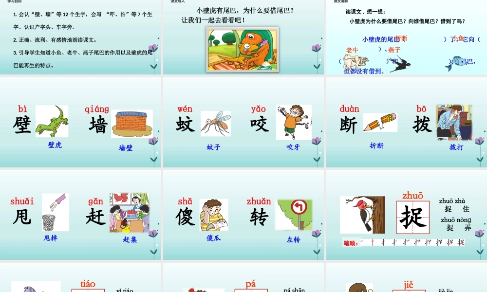 一年级语文下册 课文 6《小壁虎借尾巴》教学课件 新人教版-新人教版小学一年级下册语文课件