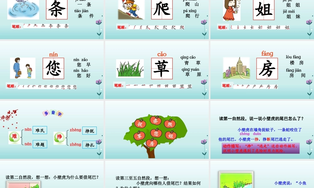 一年级语文下册 课文 6《小壁虎借尾巴》教学课件 新人教版-新人教版小学一年级下册语文课件