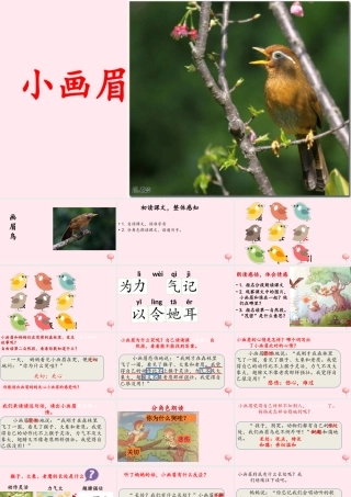 一年级语文下册 第4课《小画眉》课件1 鄂教版-鄂教版小学一年级下册语文课件