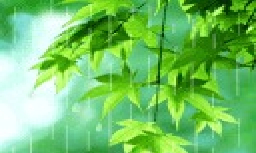 一年级语文下册 第1单元 4《春雨的色彩》课件4 语文S版-语文S版小学一年级下册语文课件