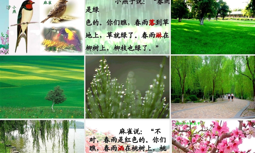 一年级语文下册 第1单元 4《春雨的色彩》课件4 语文S版-语文S版小学一年级下册语文课件