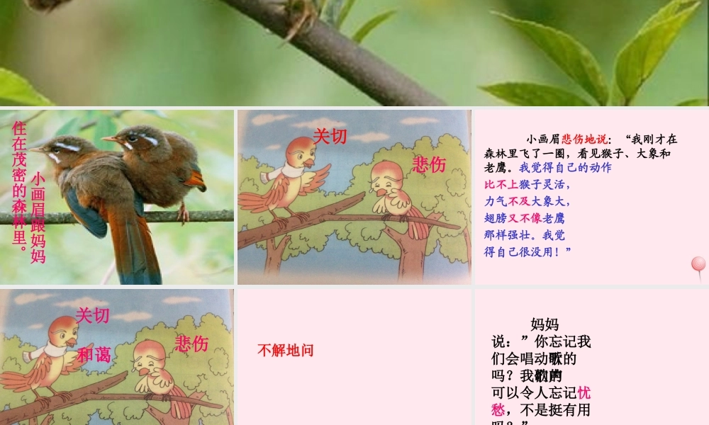 一年级语文下册 第4课《小画眉》课件4 鄂教版-鄂教版小学一年级下册语文课件