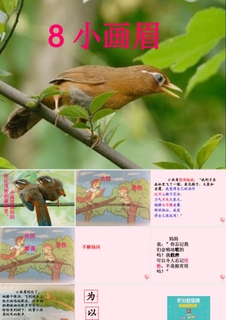 一年级语文下册 第4课《小画眉》课件4 鄂教版-鄂教版小学一年级下册语文课件