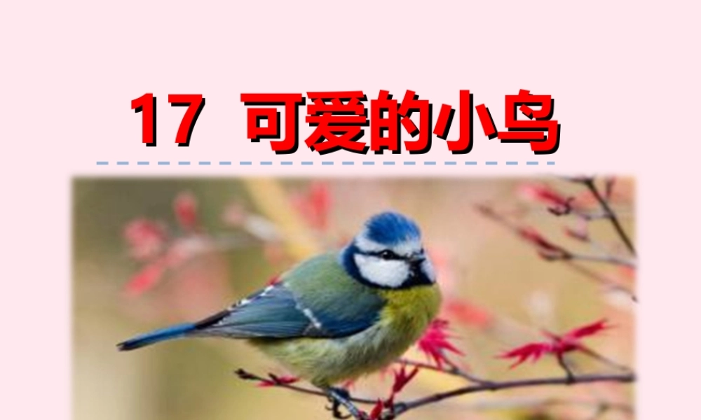 一年级语文下册 第四单元 第17课《可爱的小鸟》课件 北京版-北京版小学一年级下册语文课件