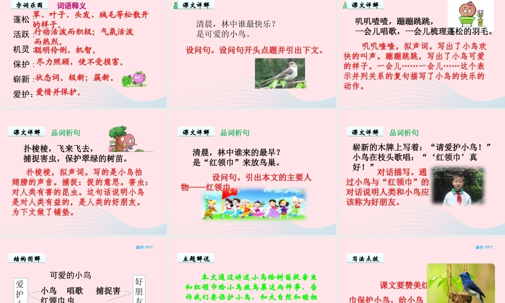 一年级语文下册 第四单元 第17课《可爱的小鸟》课件 北京版-北京版小学一年级下册语文课件