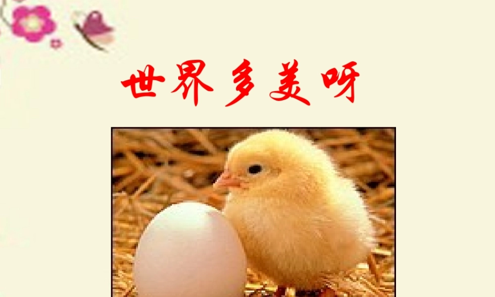 一年级语文下册 第1单元 5《世界多美呀》课件1 语文S版-语文S版小学一年级下册语文课件