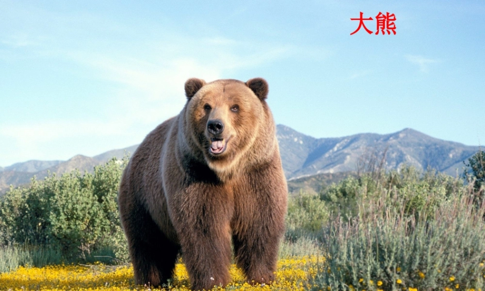 一年级语文下册 第5单元 20《小熊和小鹿》课件4 语文S版-语文S版小学一年级下册语文课件