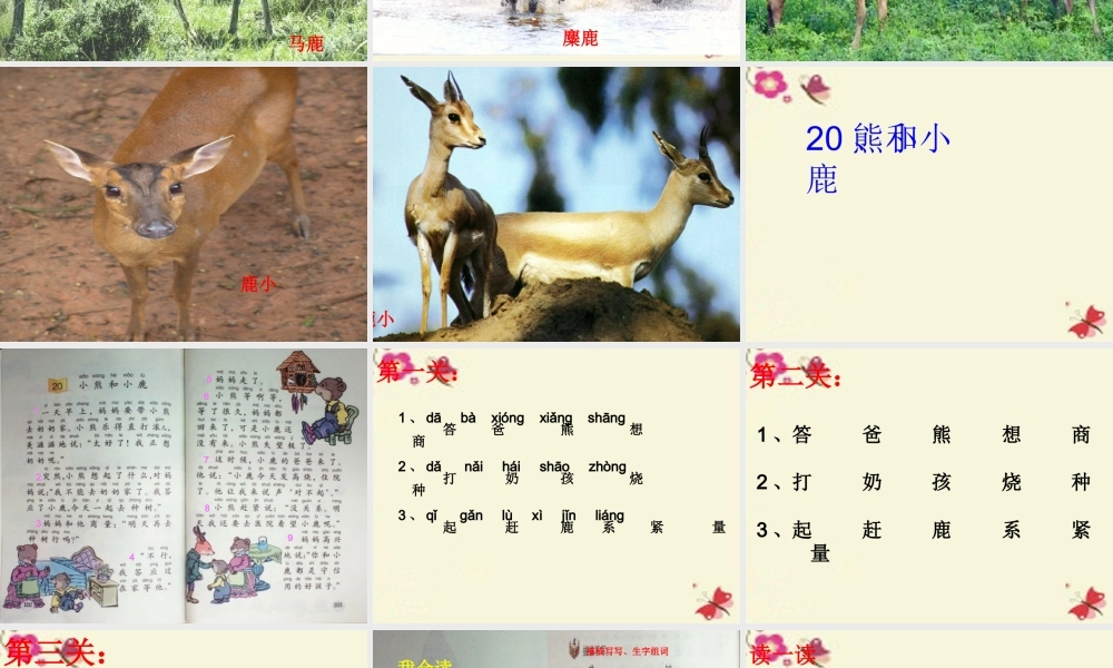 一年级语文下册 第5单元 20《小熊和小鹿》课件4 语文S版-语文S版小学一年级下册语文课件