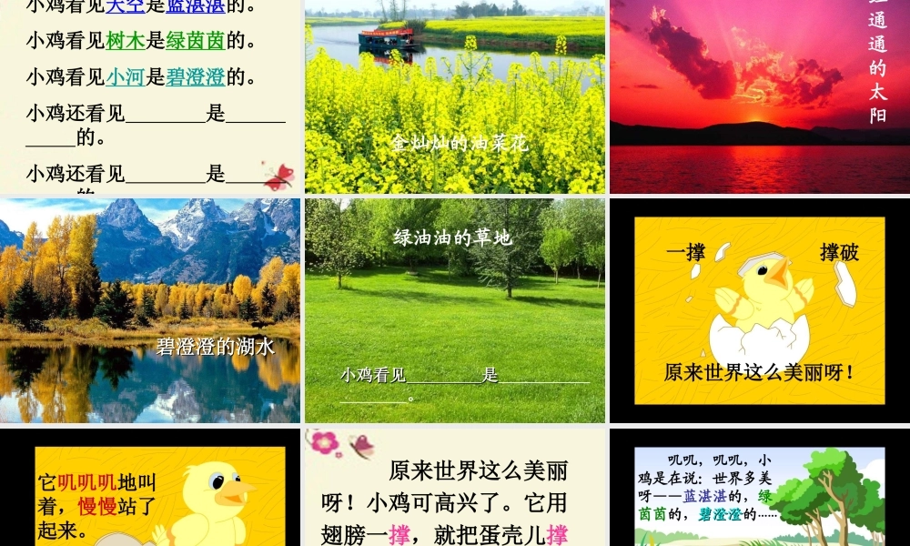 一年级语文下册 第1单元 5《世界多美呀》课件5 语文S版-语文S版小学一年级下册语文课件