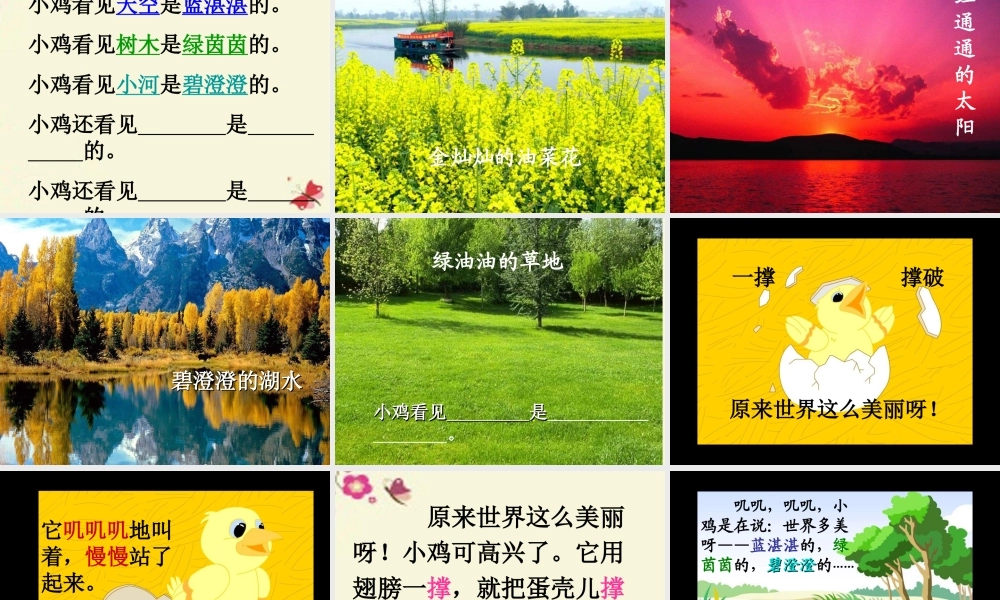 一年级语文下册 第1单元 5《世界多美呀》课件10 语文S版-语文S版小学一年级下册语文课件