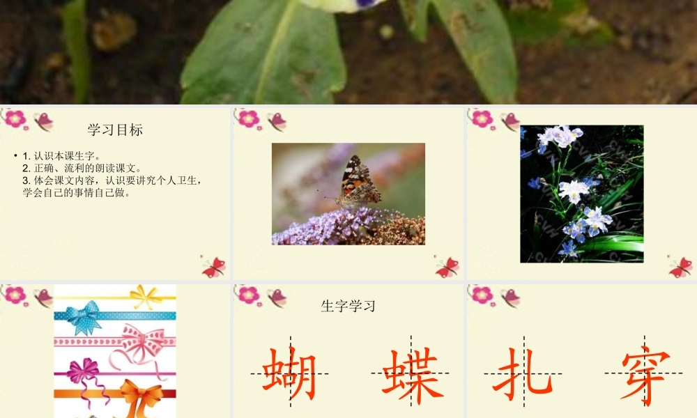 一年级语文下册 第5单元 22《蝴蝶花》课件1 语文S版-语文S版小学一年级下册语文课件