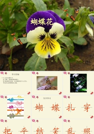 一年级语文下册 第5单元 22《蝴蝶花》课件1 语文S版-语文S版小学一年级下册语文课件