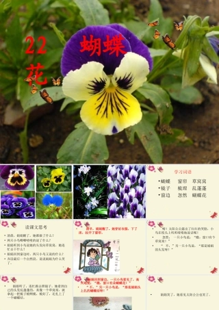 一年级语文下册 第5单元 22《蝴蝶花》课件2 语文S版-语文S版小学一年级下册语文课件