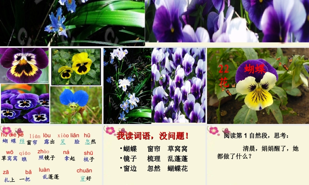 一年级语文下册 第5单元 22《蝴蝶花》课件3 语文S版-语文S版小学一年级下册语文课件