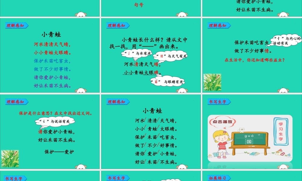 一年级语文下册 第1单元 识字（一）3 小青蛙教学课件 新人教版-新人教版小学一年级下册语文课件