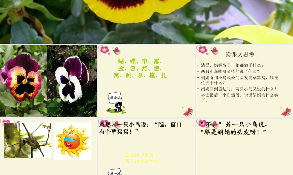 一年级语文下册 第5单元 22《蝴蝶花》课件6 语文S版-语文S版小学一年级下册语文课件